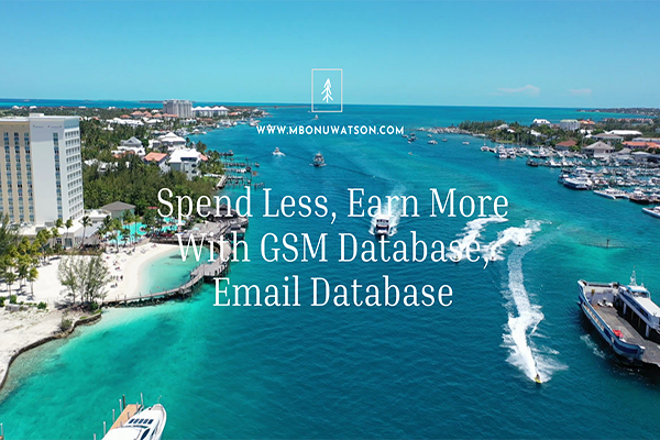 Spend Less, Earn More With GSM Database, Email Database
